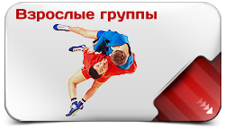 Взрослые группы по самбо